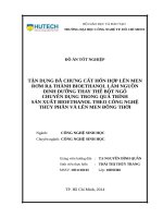 Tận dụng bã chưng cất hốn hợp lên men rơm rạ thành bioethanol làm nguồn dinh dưỡng thay thế bột ngô chuyên dụng trong quá trình sản xuất bioethanol theo công nghệ thủy phân và lên men đồng thời 
