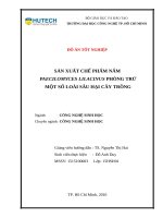 Nghiên cứu sản xuất chế phẩm nấm paecilomyces sp để phòng trừ một số loài sâu hại cây trồng 