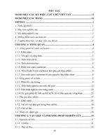 Nghiên cứu công nghệ sản xuất canxi cacbonat từ vỏ hầu để làm chất phụ gia thực phẩm