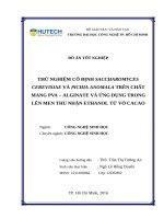 Thử nghiệm cố định saccharomyces cerevisiae và pichia anomala trên chất mang PVA alginate và ứng dụng trong lên men thu nhận ethanol từ vỏ cacao 