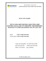 Tối ưu hóa môi trường sinh tổng hợp enzyme cellulase từ nấm mốc trichoderma koningii và tinh sạch bằng sắc ký lọc gel 