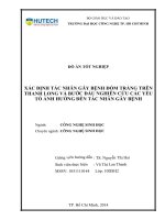 Xác định tác nhân gây bệnh đốm trắng trên thanh long và bước đầu nghiên cứu các yếu tố ảnh hưởng đến tác nhân gây bệnh 