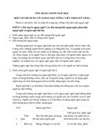 Lỗi và sửa lỗi trong việc dạy tiếng việt như một ngoại ngữ