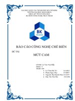 BÁO CÁO CÔNG NGHỆ CHẾ BIẾN SẢN XUẤT MỨT CAM