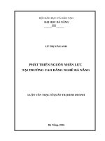 Phát triển nguồn nhân lực tại trường cao đẳng nghề đà nẵng 