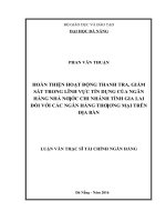 Hoàn thiện hoạt động thanh tra giám sát trong lĩnh vực tín dụng của ngân hàng nhà nước chi nhánh tỉnh gia lai đối với các ngân hàng thương mại trên địa bàn 
