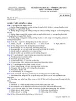 Đề kiểm tra HK môn sinh học lớp 11