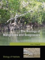 The biology of mangroves and seagrasses 