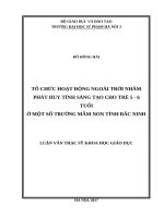 Tổ chức hoạt động ngoài trời nhằm phát huy tính sáng tạo cho trẻ 5   6 tuổi ở một số trường mầm non tỉnh bắc ninh 