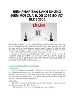 BIỆN PHÁP bảo LÃNH NHỮNG điểm mới của BLDS 2015 SO với BLDS 2005