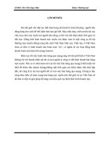 Bán hàng trực tuyến và giải pháp để nâng cao hiệu quả bán hàng trực tuyến tại việt nam