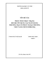 PHÂN TÍCH THỰC TRẠNG RỦI RO TÍN DỤNG TẠI NGÂN HÀNG THƯƠNG MẠI CỔ PHẦN NGOẠI THƯƠNG VIỆT NAM (VIETCOMBANK)