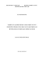 Nghiên cứu sự hình thành và phát triển vết nứt ảnh hưởng tới khả năng chịu tải của đập trọng lực bê tông đầm lăn trong quá trình vận hành 