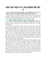 BÀI tập học kỳ LAO ĐỘNG đề số 2