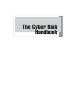 The cyber risk hanbook 