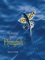 The amazing world of flyingfish 