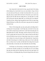 Bai tieu luan mon kinh te hoc nang cao co xinh