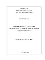 Người bị hại chưa thành niên trong các vụ án hình sự theo pháp luật việt nam hiện nay