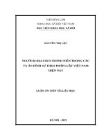 Người bị hại chưa thành niên trong các vụ án hình sự theo pháp luật việt nam hiện nay