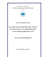 Các nhân tố tác động đến việc áp dụng kế toán công cụ tài chính phái sinh ở các doanh nghiệp Việt Nam
