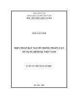 Biện pháp bắt người trong pháp luật tố tụng hình sự việt nam