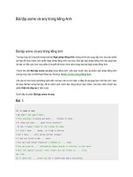 Bài tập some và any trong tiếng anh