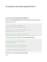 Thì tương lai đơn will và shall trong tiếng anh