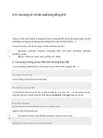 Vị trí của trạng từ chỉ tần suất trong tiếng anh