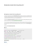 Bài tập đại từ phản thân trong tiếng anh