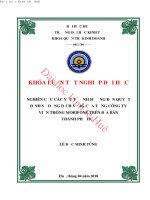 Nghiên cứu các yếu tố ảnh hưởng đến quyết định sử dụng dịch vụ 4g của tổng công ty viễn thông mobifone trên địa bàn thành phố huế 