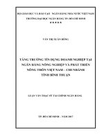 Tăng trưởng tín dụng doanh nghiệp tại ngân hàng nông nghiệp và phát triển nông thôn việt nam   chi nhánh tỉnh bình thuận 