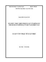 Tổ chức thực hiện pháp luật về kiểm sát thi hành án hình sự ở việt nam hiện nay