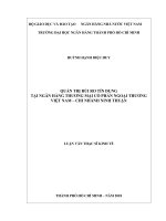 Huỳnh hạnh diệu huy  quản trị rủi ro tín dụng tại ngân hàng thương mại cổ phần ngoại thương việt nam   chi nhánh ninh thuận 