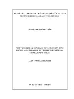 Phát triển dịch vụ ngân hàng bán lẻ tại ngân hàng thương mại cổ phần đầu tư và phát triển việt nam chi nhánh ninh thuận 