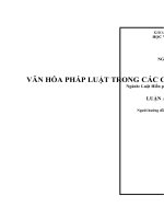 Văn hóa pháp luật trong các cơ quan hành chính ở việt nam hiện nay