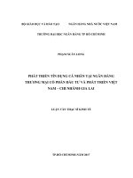 Phát triển tín dụng cá nhân tại ngân hàng thương mại cổ phần đầu tư và phát triển việt nam   chi nhánh gia lai 