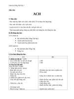 Giáo án Tiếng Việt 1 bài 81: Vần ACH