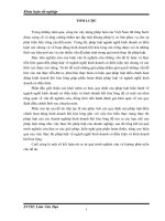 Quản lý nhà nước về ngành nghề kinh doanh có điều kiện và thực tiễn thực hiện tại các doanh nghiệp khí hóa lỏng