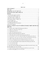 Chính sách phát triển thương mại miền núi – Nghiên cứu tại một số tỉnh phía Bắc Việt Nam