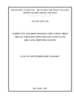 Nghiên cứu giải pháp nhằm duy trì và phát triển thể lực cho công nhân nhà máy luyện gang, khu gang thép thái nguyên