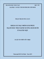 Khảo sát đặc điểm giải phẫu mạch máu thần kinh xương hàm dưới ở người Việt (FULL TEXT)