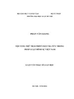 Tội tàng trữ trái phép chất ma túy trong pháp luật hình sự việt nam
