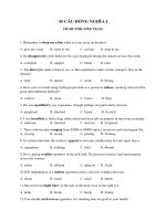 45 câu đồng nghĩa i   FIGHT FOR NINE TEAM 