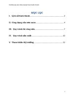 tiểu luận sơn nano cho ô tô 