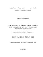 Các tội xâm phạm tình dục trẻ em, so sánh pháp luật hình sự việt nam với pháp luật hình sự của một số nước