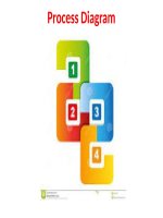 Process diagram   copy 