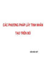 CÁC PHƯƠNG PHÁP LẤY TINH NHÂN TẠO TRÊN BÒ
