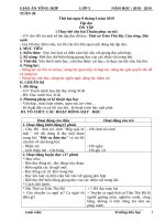 Tuần 30 giáo án lớp 5 soạn theo ĐHPTNLHS năm học 2018   2019 