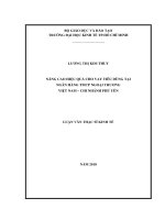 Nâng cao hiệu quả cho vay tiêu dùng tại ngân hàng TMCP ngoại thương việt nam – chi nhánh phú yên 