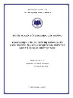 Kinh nghiệm tái cấu trúc hệ thống ngân hàng thương mại của các quốc gia trên thế giới và đề xuất cho việt nam 